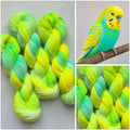 Handgefärbte Wolle, 100g, Sockenwolle, Merinowolle, 6-fach. hand-dyed sock yarn
