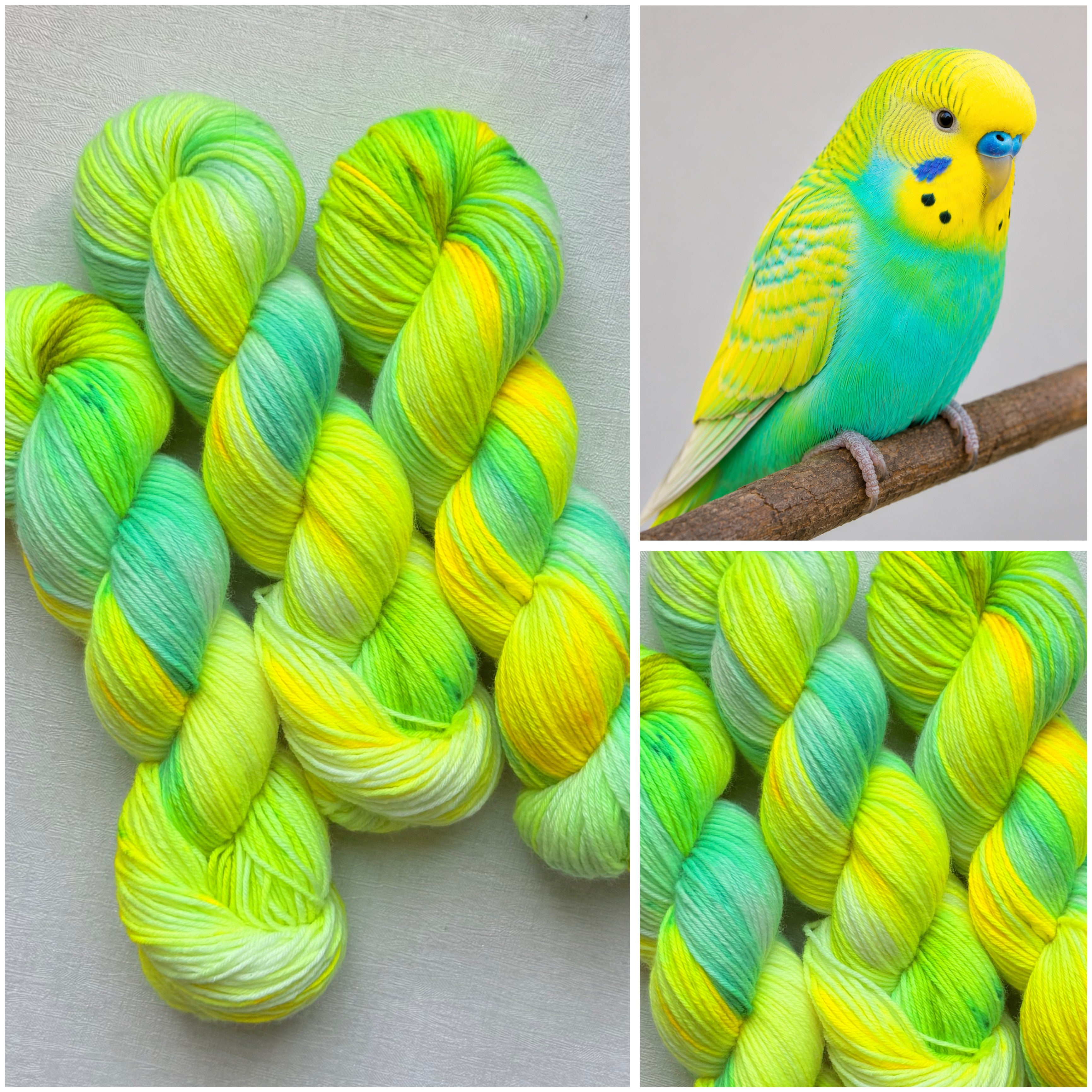 Handgefärbte Wolle, 100g, Sockenwolle, Merinowolle, 6-fach. hand-dyed sock yarn